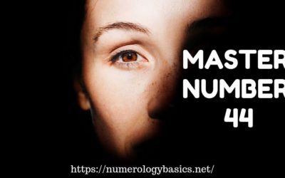 MASTER NUMBER 44 DECODED