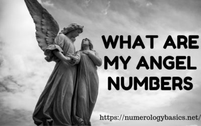What Are My Angel Numbers: What do they tell?