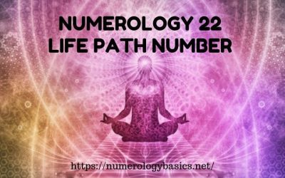 Life Path Numbers Archives - Numerology Basics