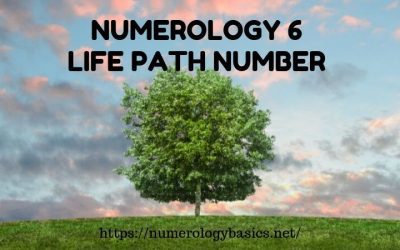 NUMEROLOGY 6: LIFE PATH NUMBER 6 REVELED