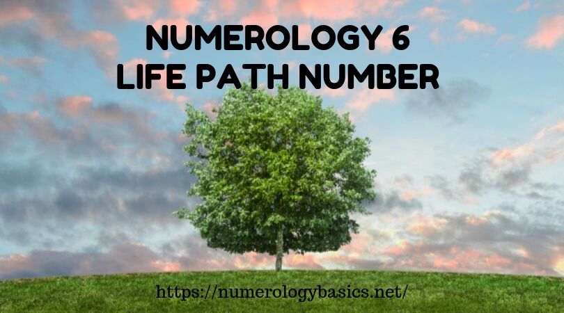 Life Path Number 6 Numerology Meaning Astroseek Com