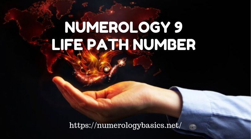numerology 9 life path