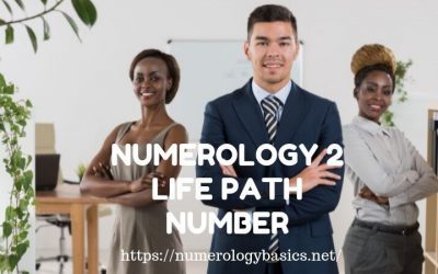 NUMEROLOGY 2: LIFE PATH NUMBER 2 REVELED