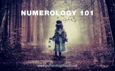 Numerology 101