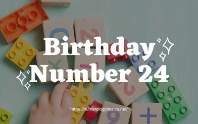 Birthday Number 24 or Gift Number 24