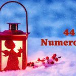 44 numerology