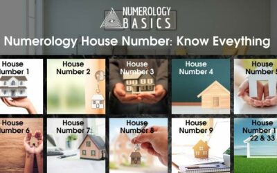 living in a 3 house numerology